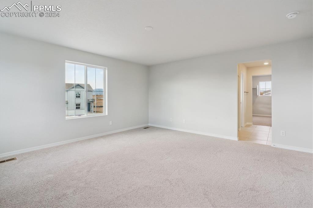 Image 17 of 23: Other