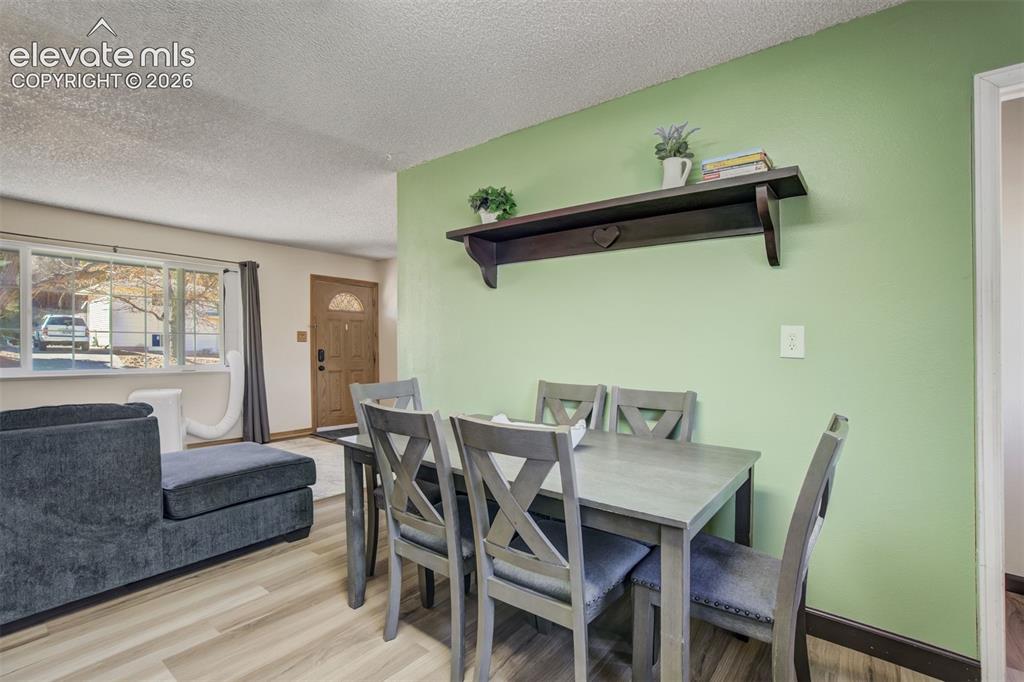 Image 12 of 50: Wood-finish flooring throughout, light green accent wall, and a large front