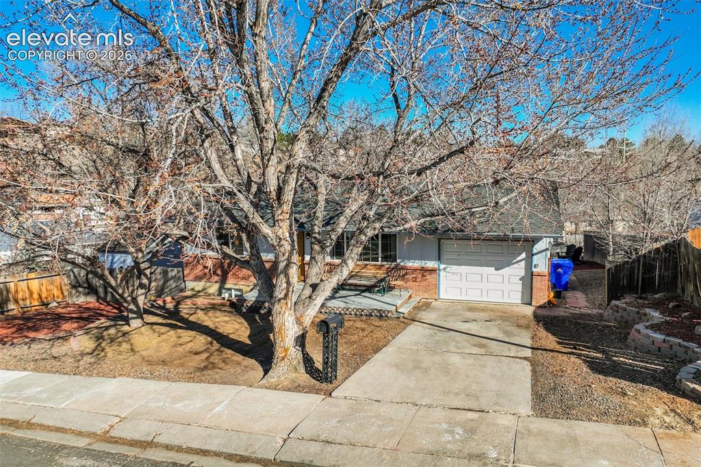 Image 49 of 50: Concrete driveway, attached garage, brick facade, front yard, established t
