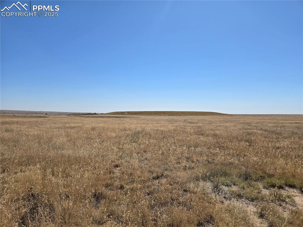 Image 11 of 14: View of local wilderness with a rural view