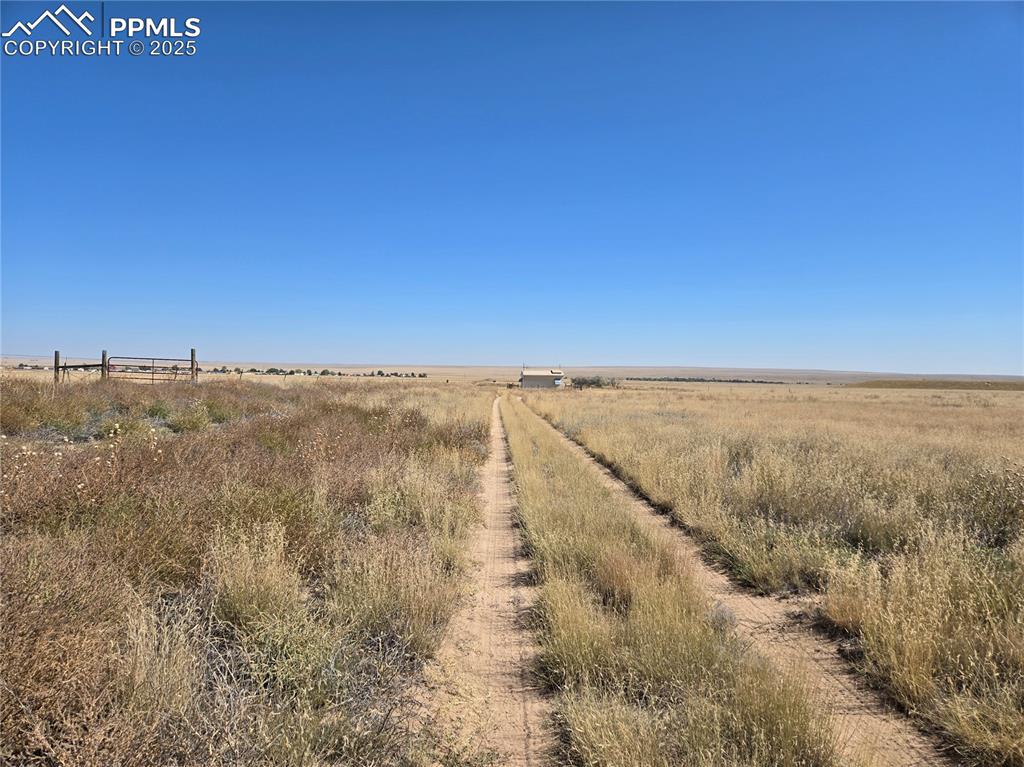 Image 13 of 14: View of local wilderness with a rural view