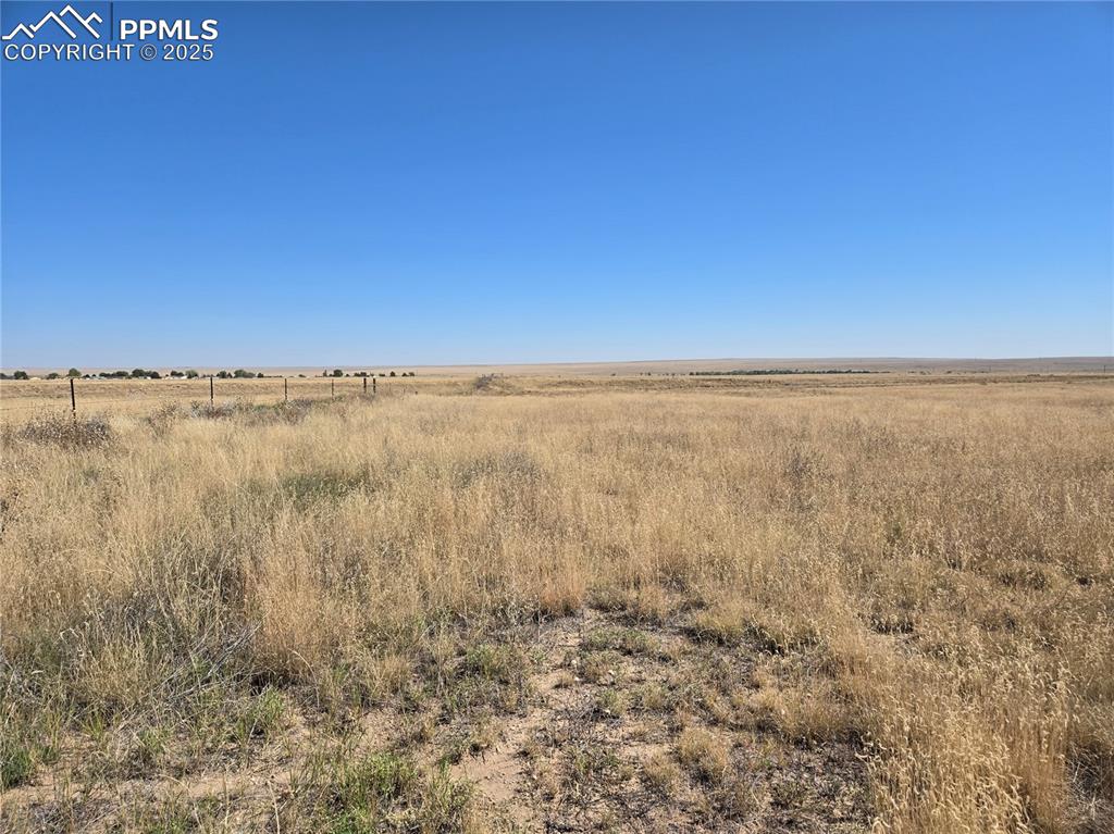 Image 9 of 14: View of local wilderness featuring a rural view