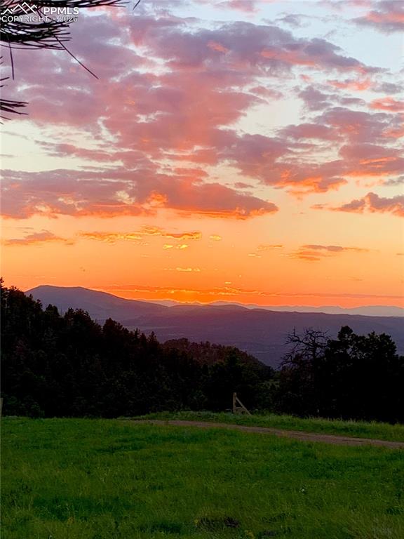 Image 11 of 15: View