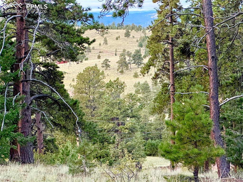 Image 6 of 15: Other