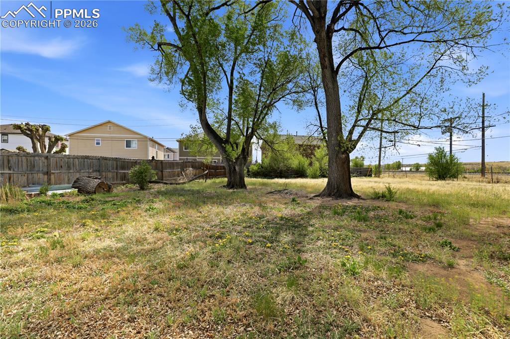 Image 16 of 19: The property features an expansive outdoor area with mature trees and a woo