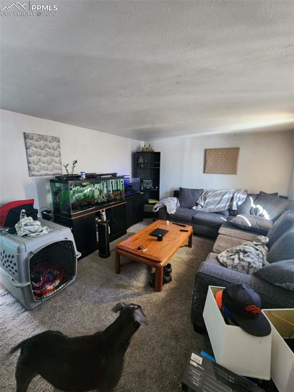 Image 18 of 30: Living Room