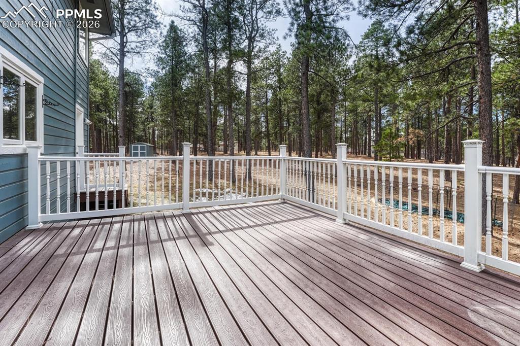 Image 18 of 50: Beautiful expansive composite deck overlooking the gorgeous tree lot.