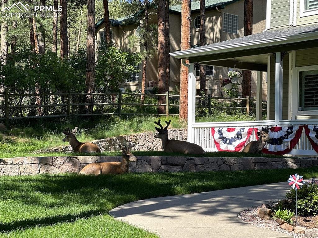 Image 47 of 49: Other