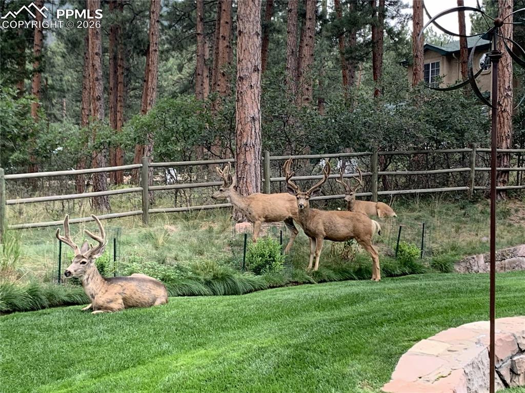 Image 48 of 49: Yard