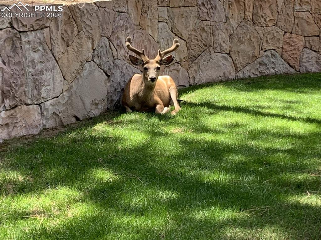 Image 49 of 49: Other