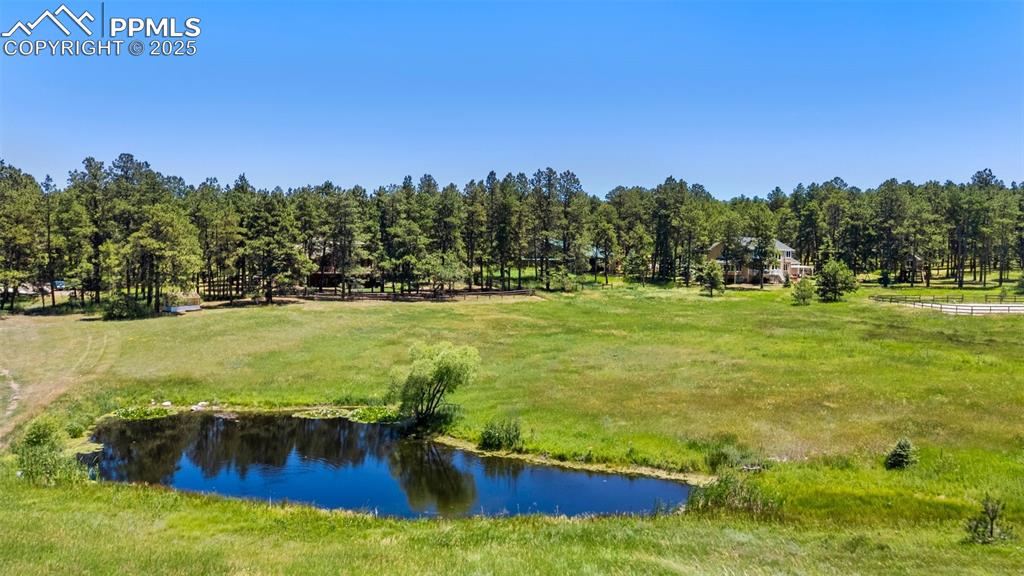 Image 10 of 50: Pond