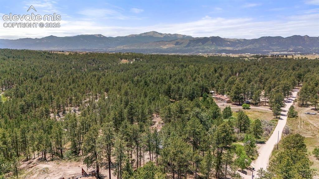 Image 37 of 46: Other