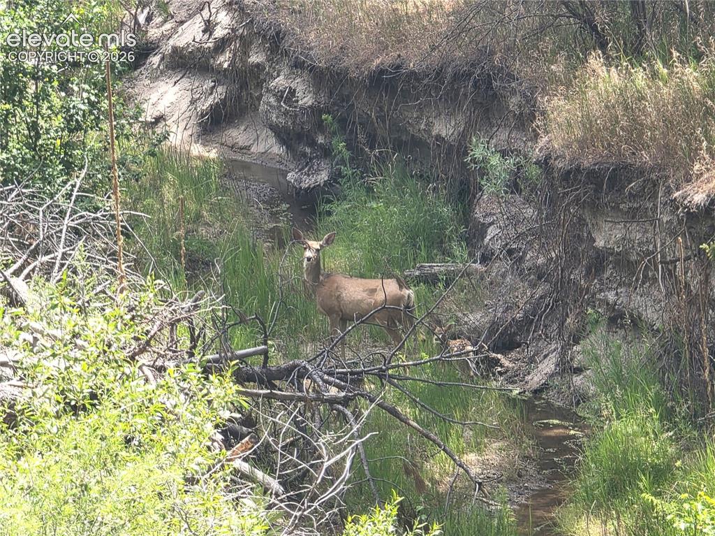 Image 6 of 46: Other