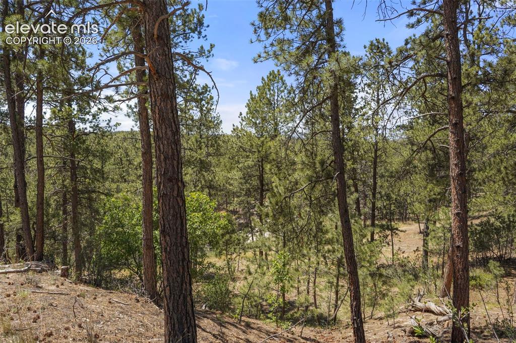 Image 8 of 46: View