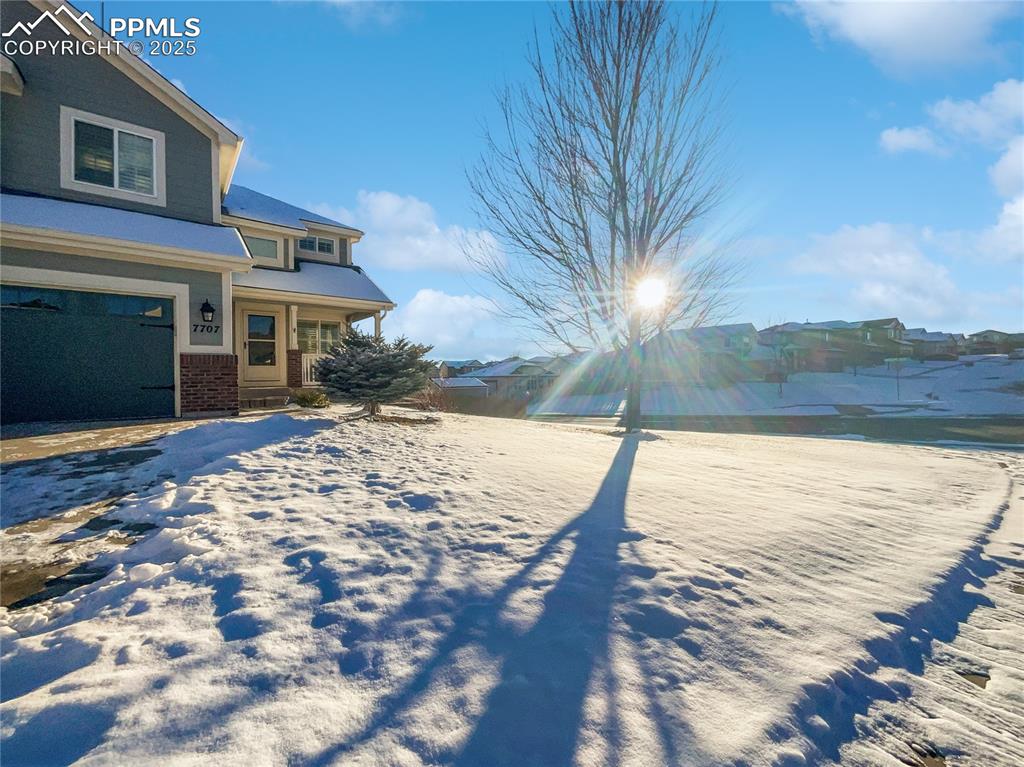 Image 9 of 23: Yard