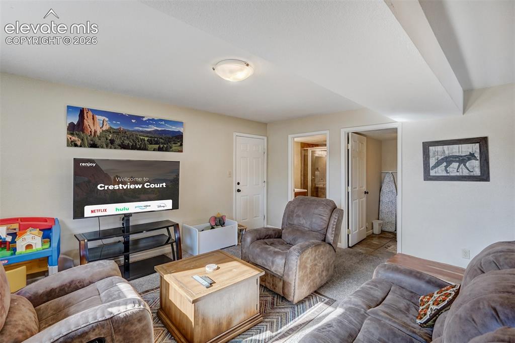 Image 23 of 43: Carpeted living area with light-toned wall paint and an overhead flush moun