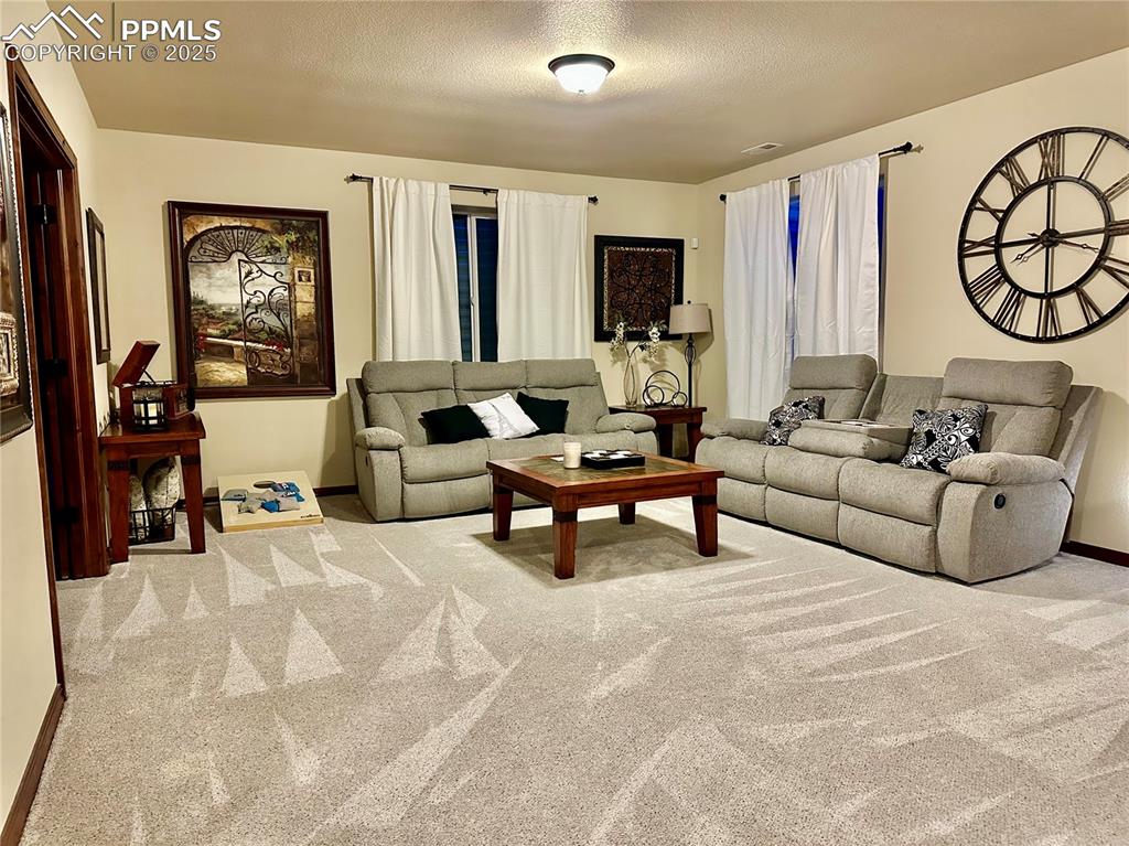 Image 19 of 33: Carpeted living room featuring baseboards and a textured ceiling