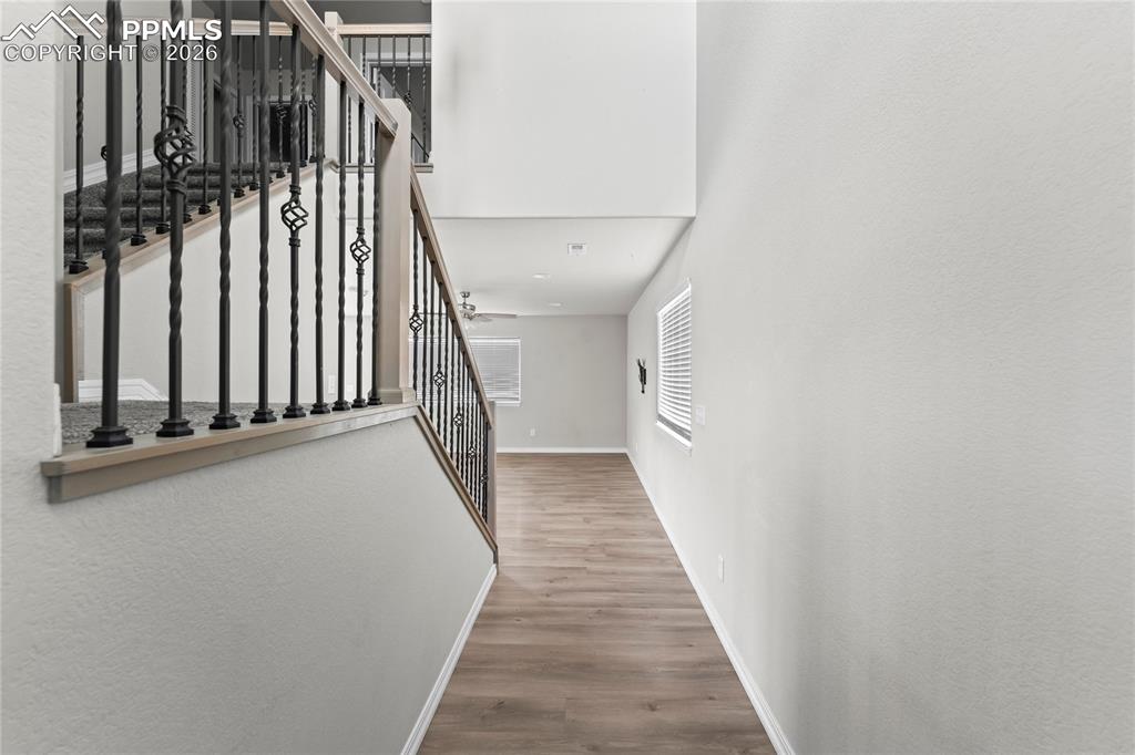 Image 4 of 35: Other