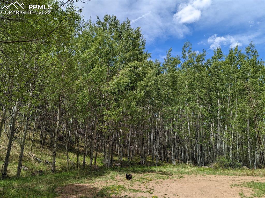 Listing 2374006, Image 1 of 8
