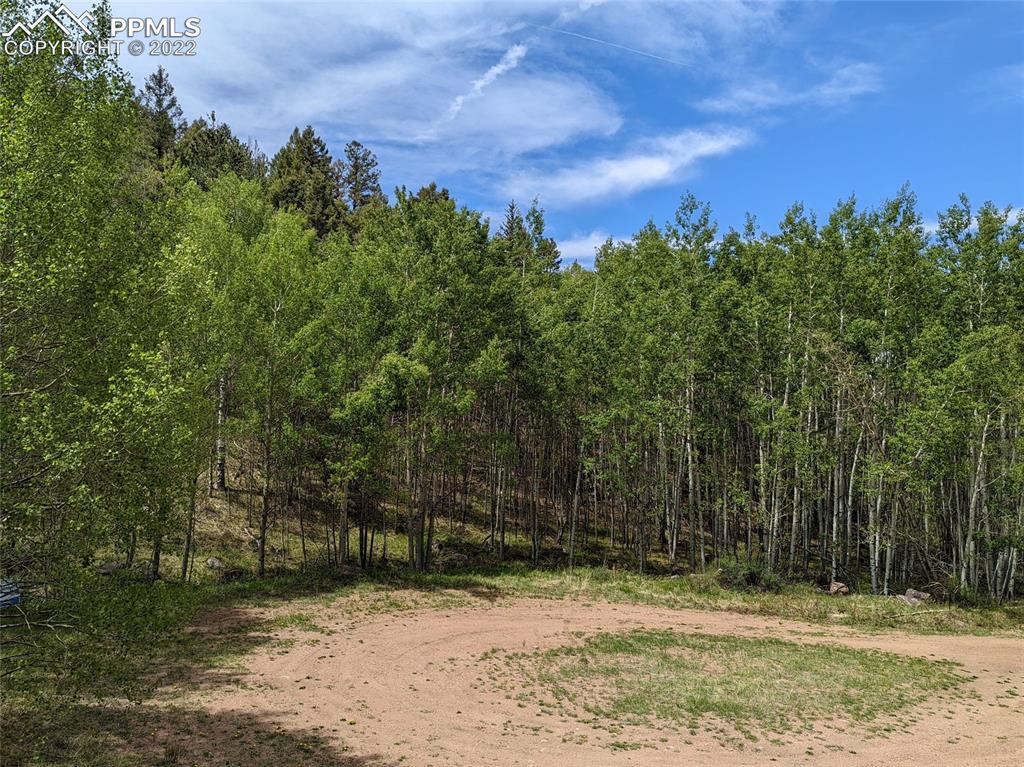 Listing 2374006, Image 3 of 8