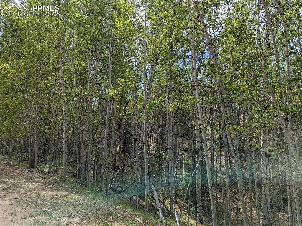 Listing 2374006, Image 5 of 8