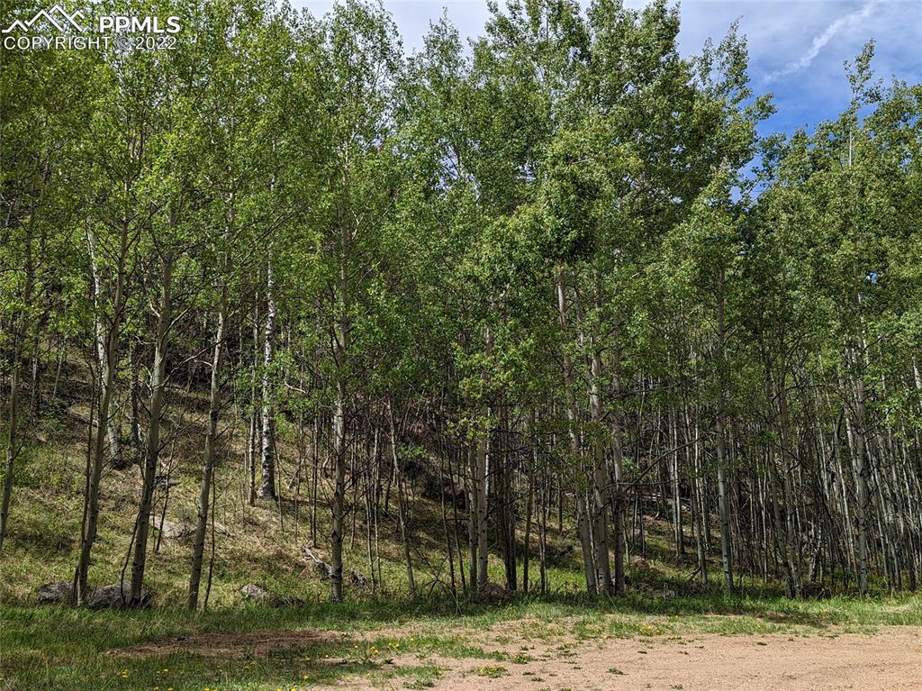 Listing 2374006, Image 6 of 8