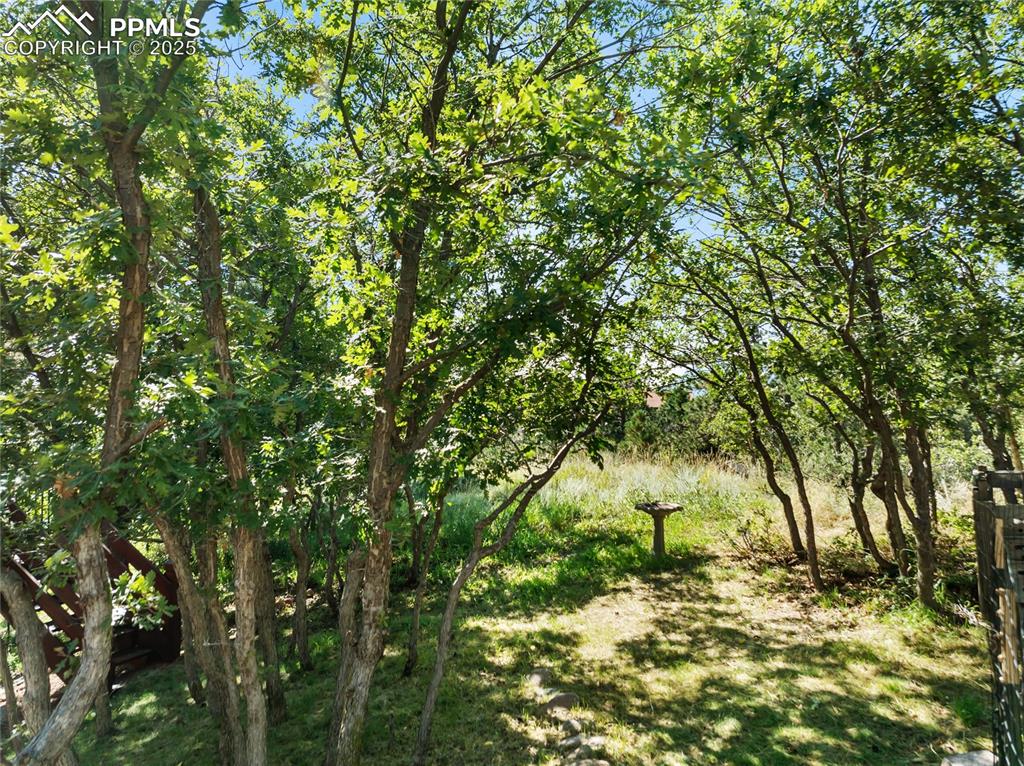 Image 44 of 48: Other