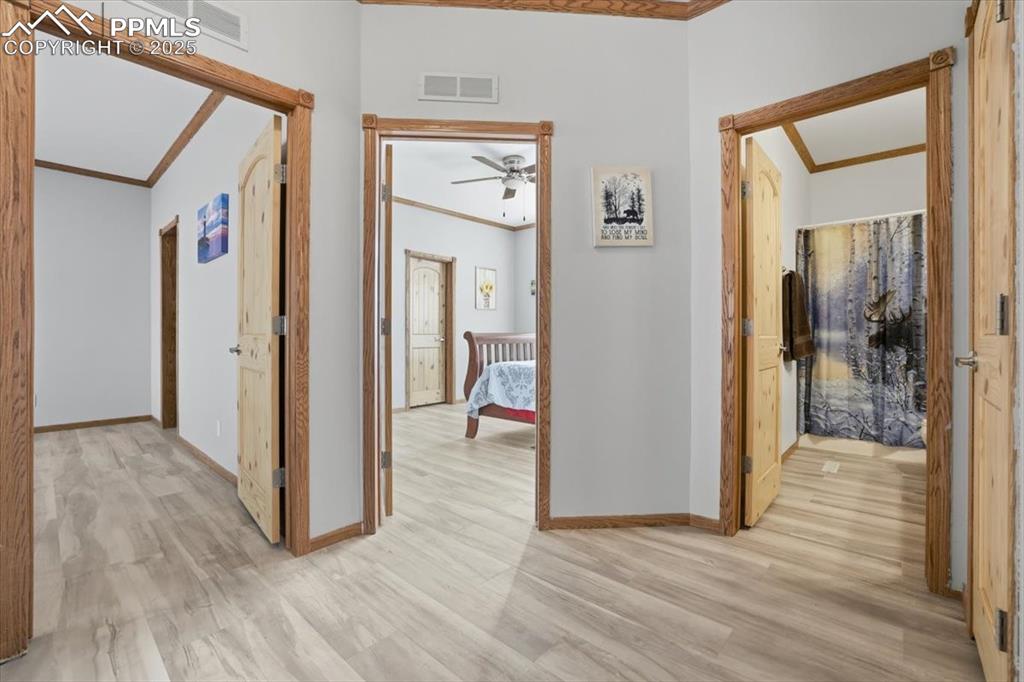 Image 26 of 50: Other