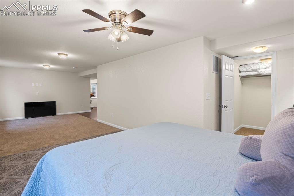 Image 14 of 21: Basement Bonus Room with Walk In Closet