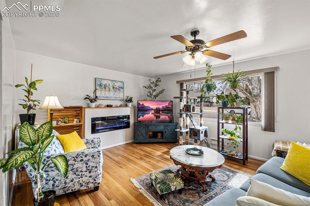 Image 6 of 24: Living Room