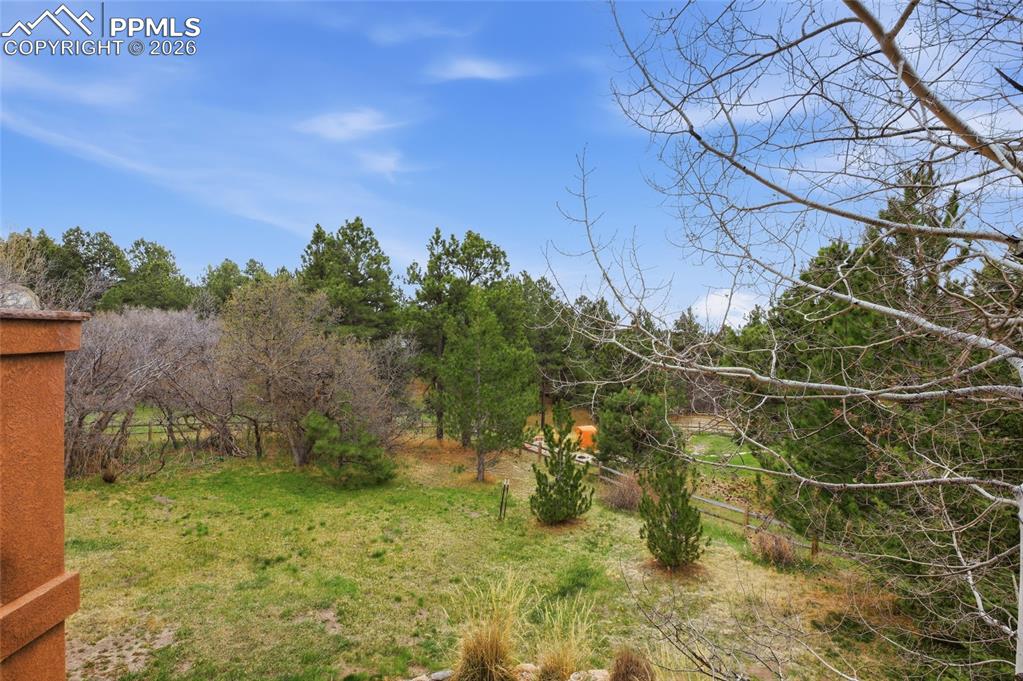 Image 19 of 50: Yard