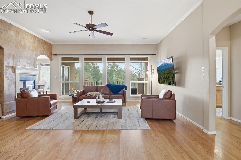 Image 4 of 50: Living Room