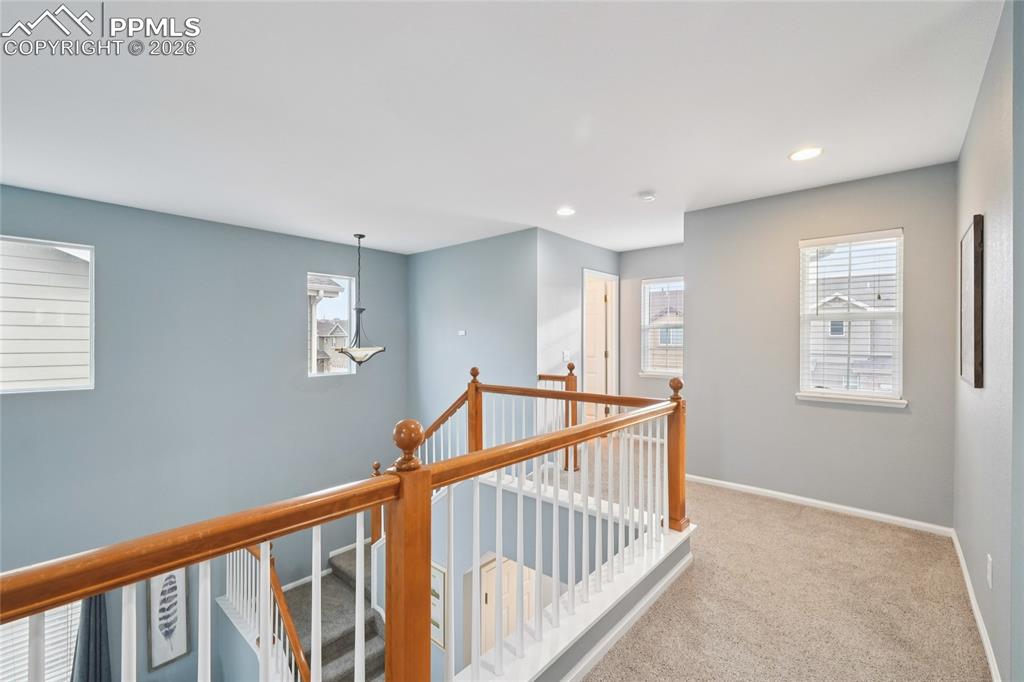 Image 24 of 37: Other