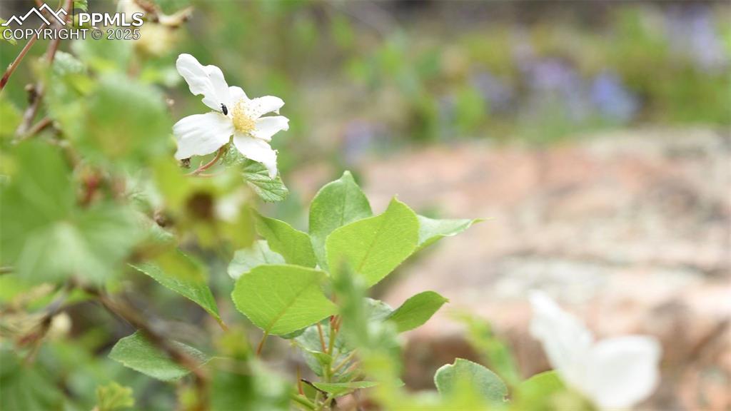 Image 12 of 14: Other