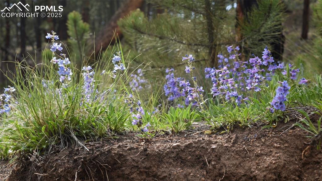 Image 13 of 14: Other