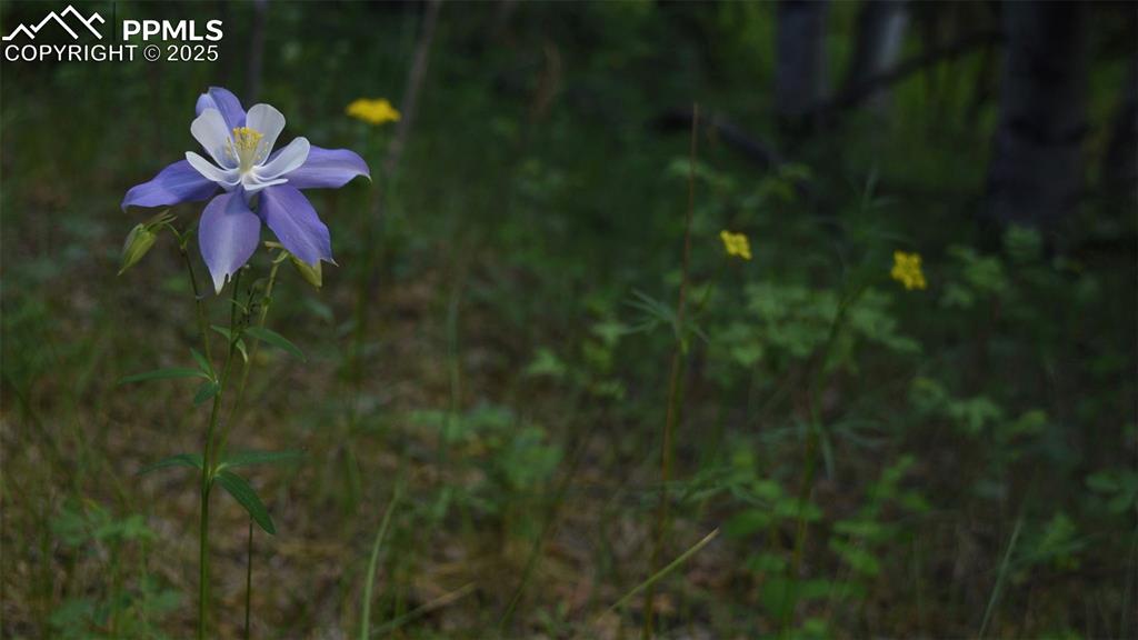 Image 14 of 14: Other