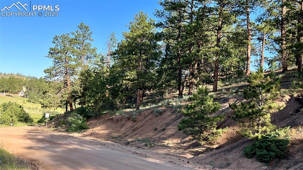 Image 2 of 14: Community