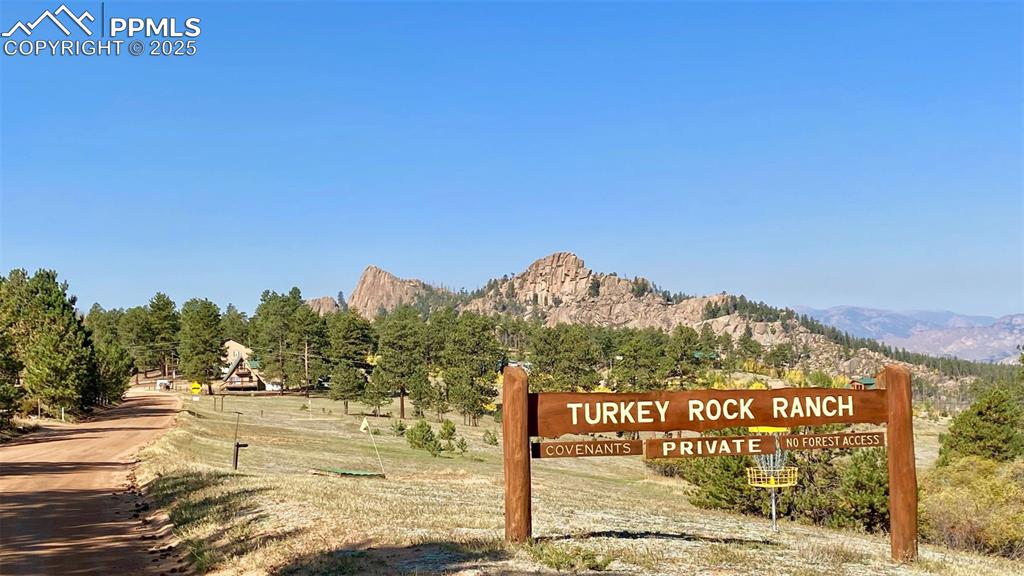 Image 3 of 14: Community