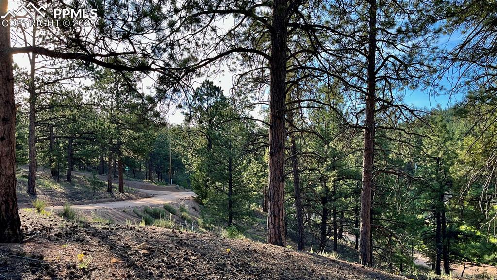 Image 4 of 14: Community