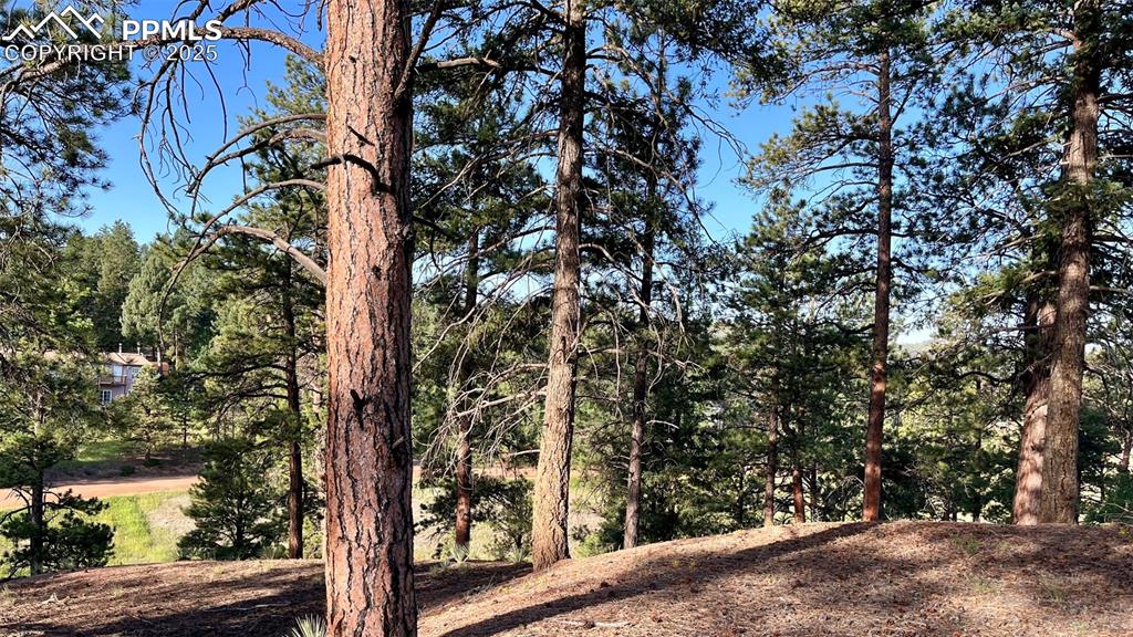 Image 5 of 14: Other