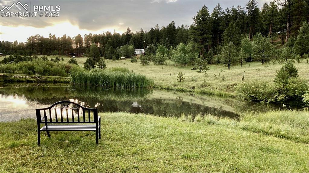 Image 9 of 14: Other