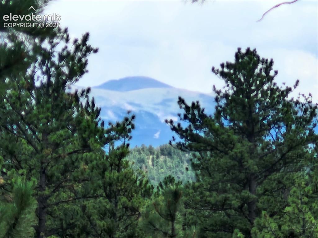 Image 22 of 25: View