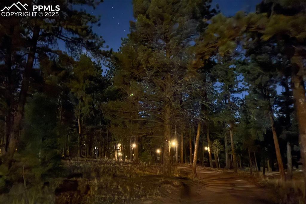 Image 34 of 37: Driveway Lighting at Night