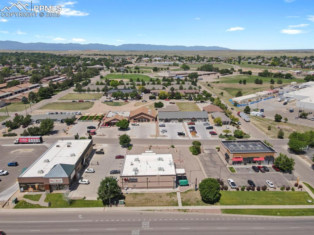 Image 40 of 43: Bird