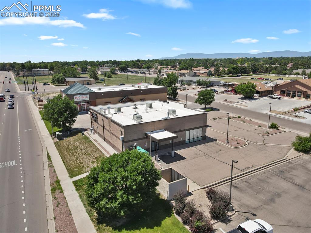 Image 42 of 43: Bird