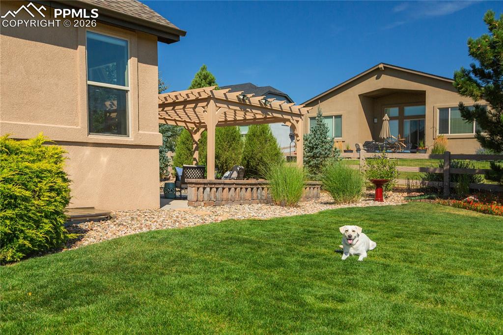 Image 11 of 50: Perfect amount of grass for pets or kids.