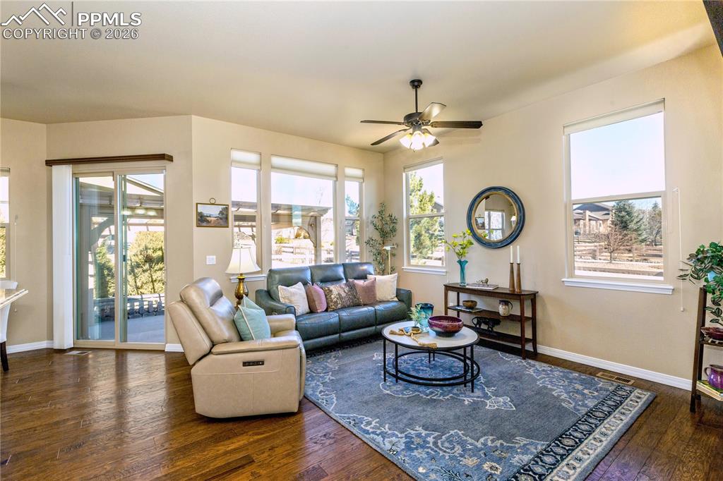 Image 20 of 50: An extensive amount of windows and a walk-out slider to the pergola-covered