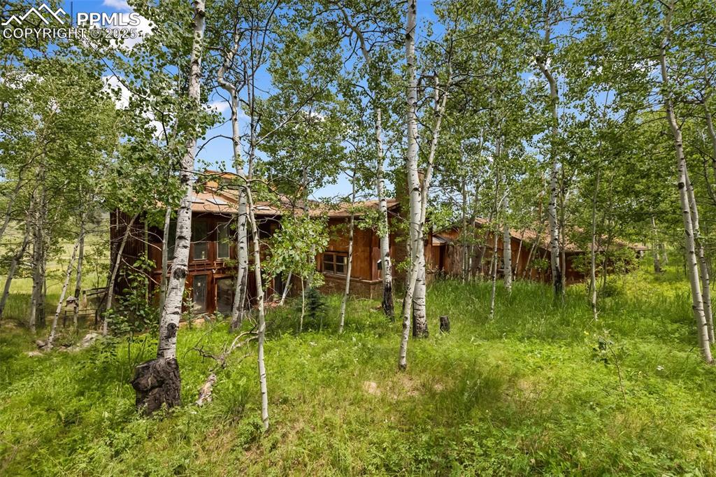 Image 30 of 36: View of yard