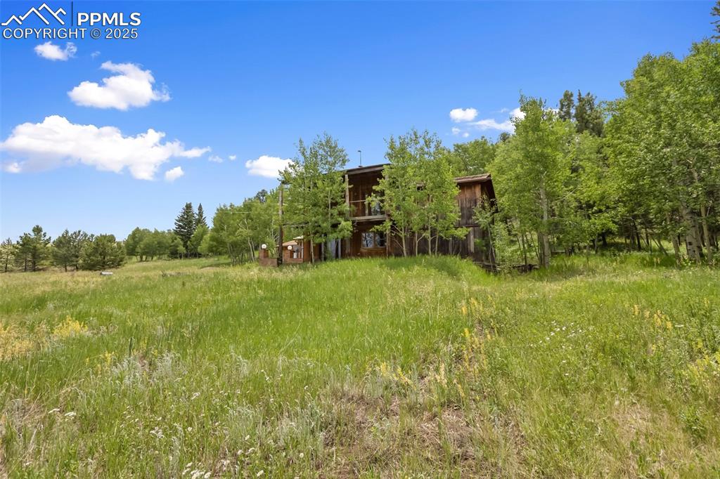 Image 31 of 36: View of yard