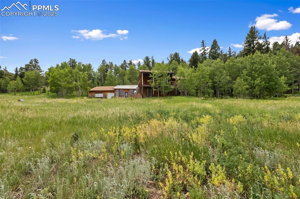 Image 33 of 36: View of yard with a detached garage